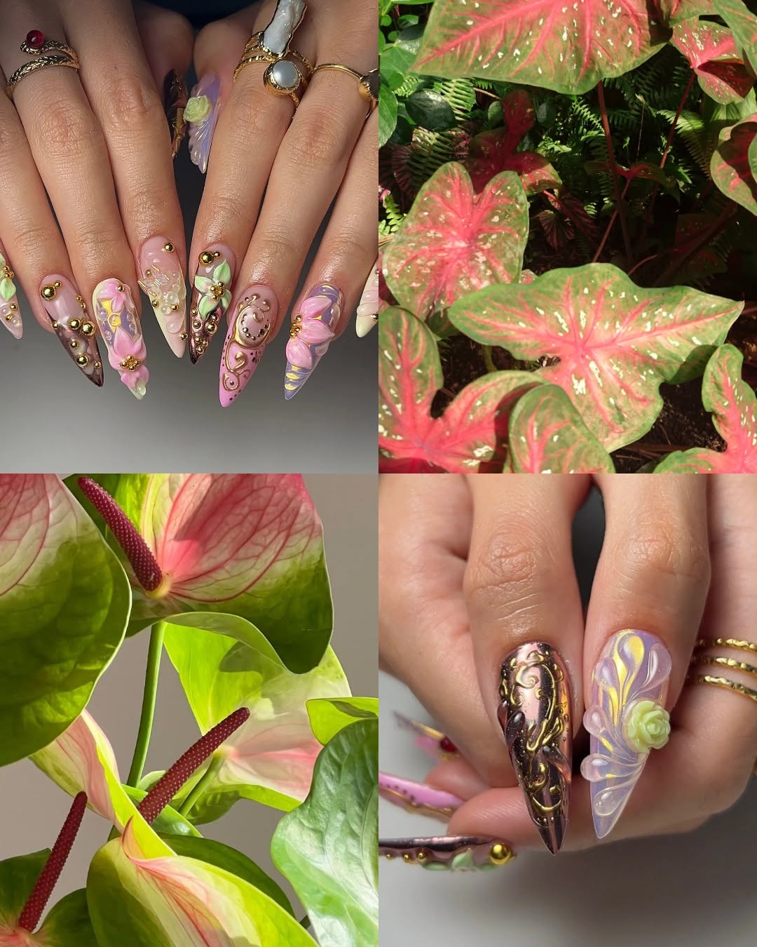 Vip nails
